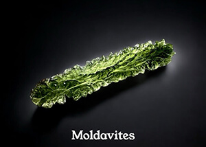 Moldavites